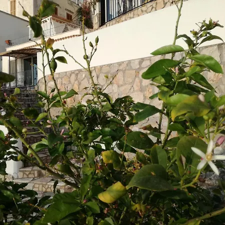 Casa Omero Sperlongaresort *